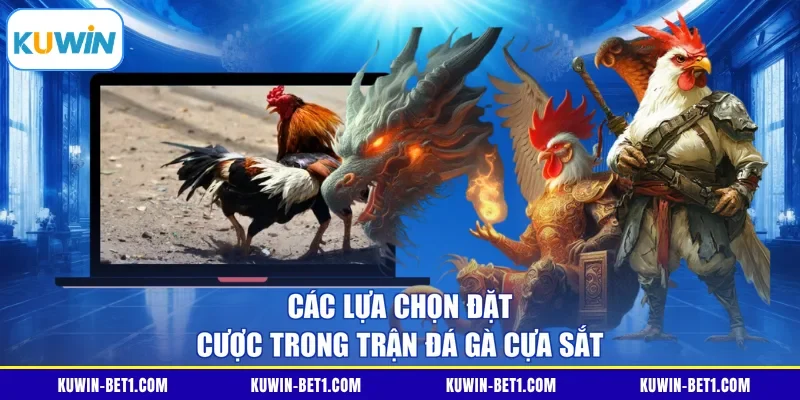 Các lựa chọn đặt cược trong trận đá gà cựa sắt
