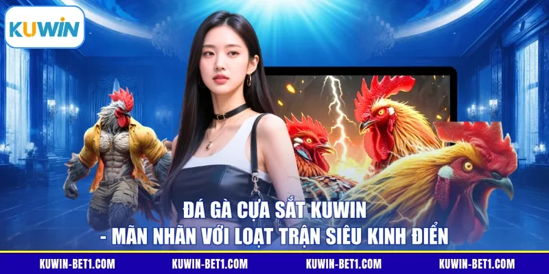 Đá Gà Cựa Sắt KUWIN - Mãn Nhãn Với Loạt Trận Siêu Kinh Điển
