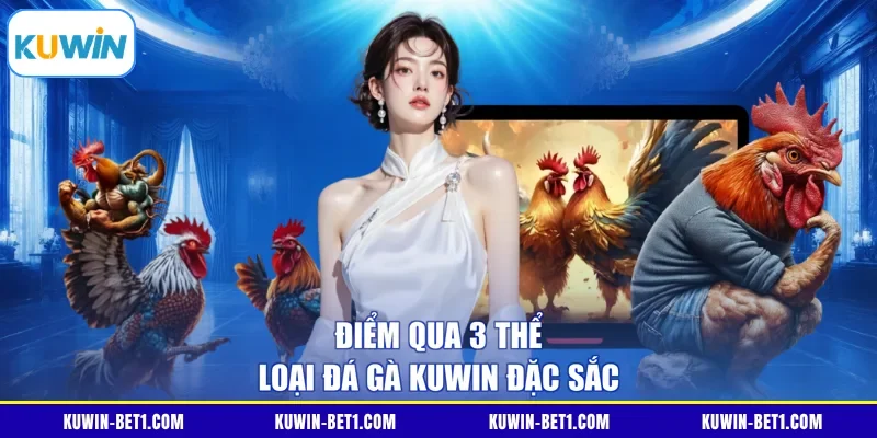 Các hình thức thi đấu trong sảnh đá gà KUWIN