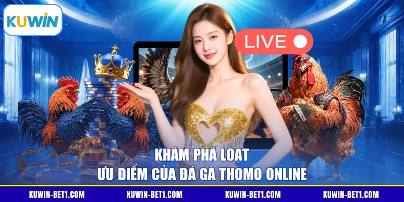 Khám phá loạt ưu điểm của đá gà Thomo online