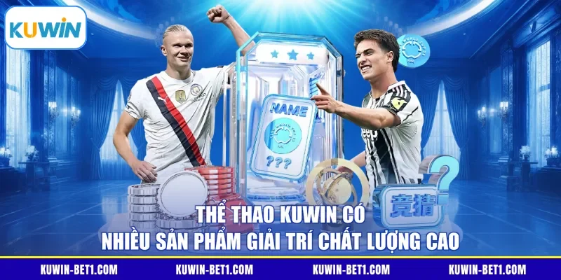 Danh mục bộ môn trong sảnh thể thao KUWIN