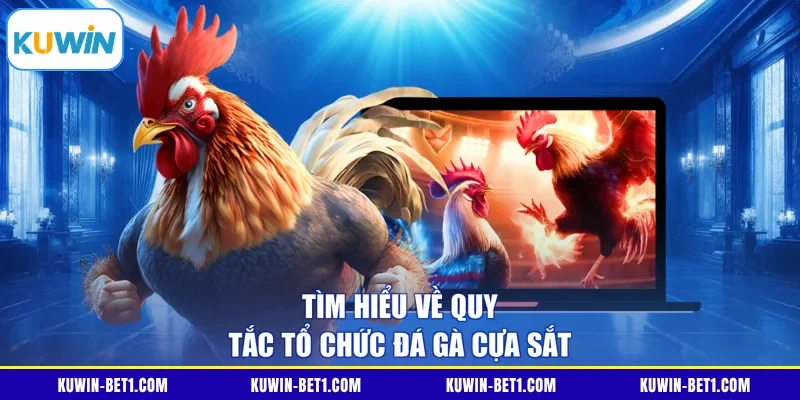 Tìm hiểu về quy tắc tổ chức đá gà cựa sắt